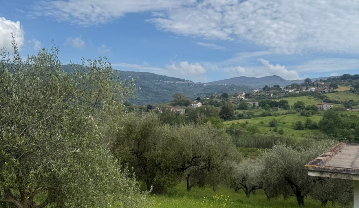 WhatsApp Image 2026-04-20 at 15.59.28 (1)