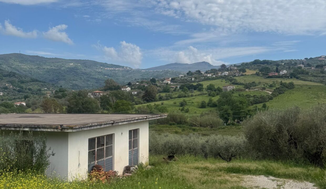 WhatsApp Image 2026-04-20 at 15.59.28