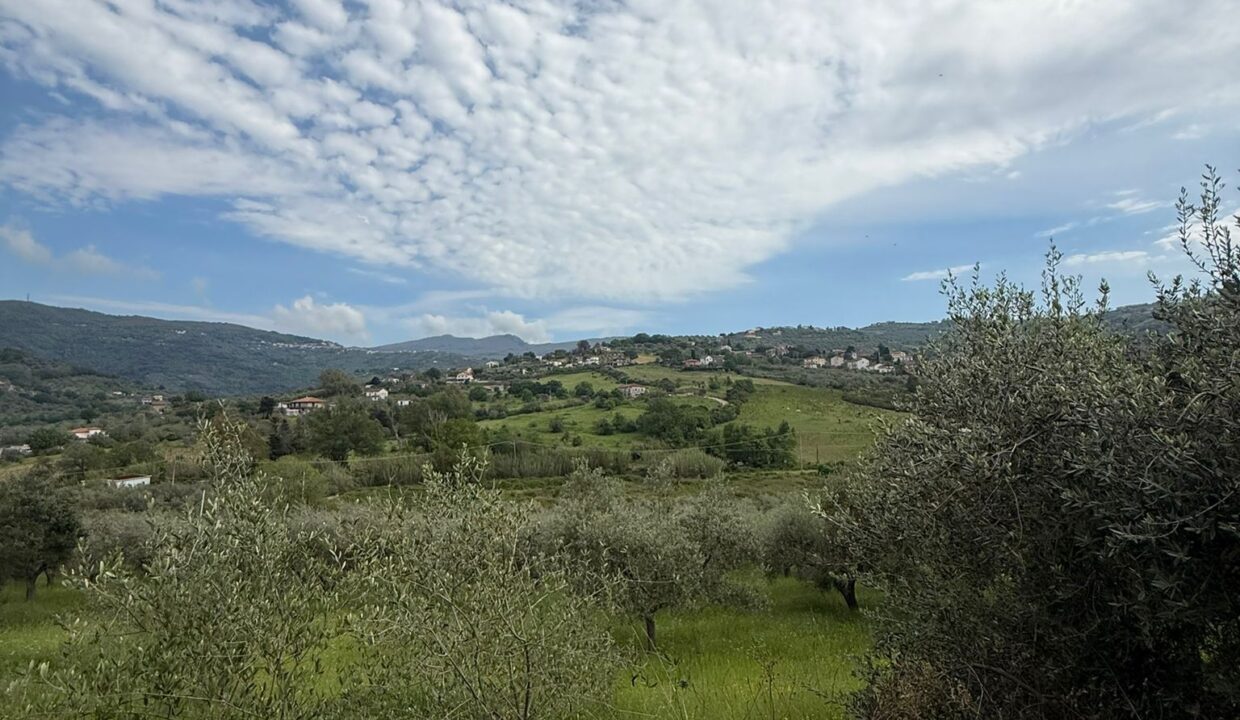 WhatsApp Image 2026-04-20 at 15.59.28 (2)