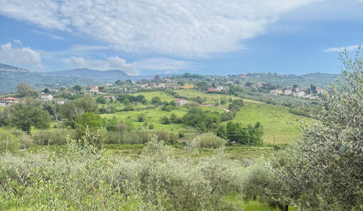 WhatsApp Image 2026-04-20 at 15.59.29 (1)