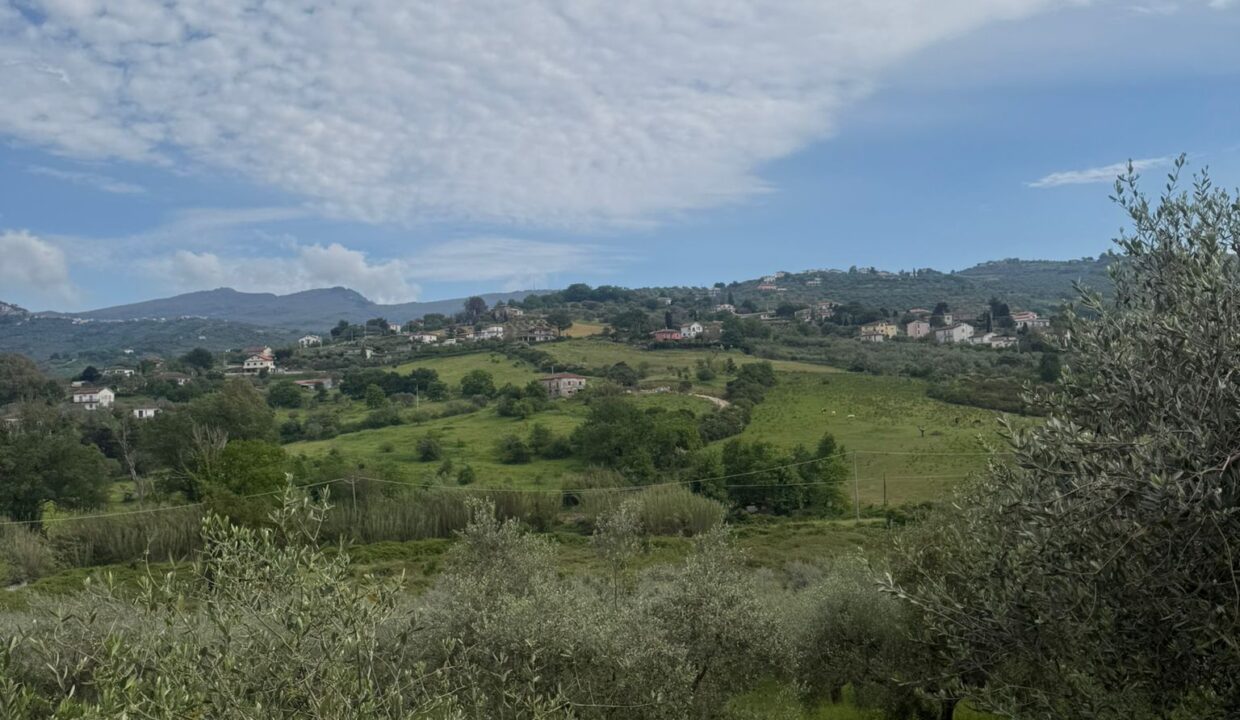 WhatsApp Image 2026-04-20 at 15.59.29