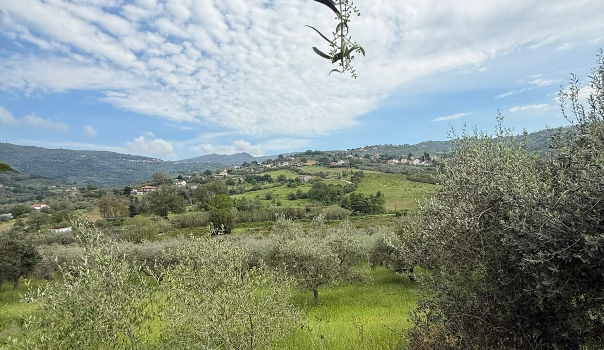 WhatsApp Image 2026-04-20 at 15.59.29 (2)