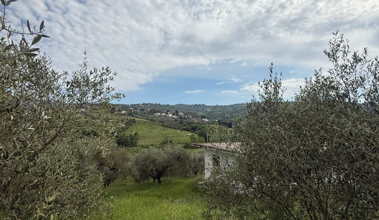 WhatsApp Image 2026-04-20 at 15.59.30