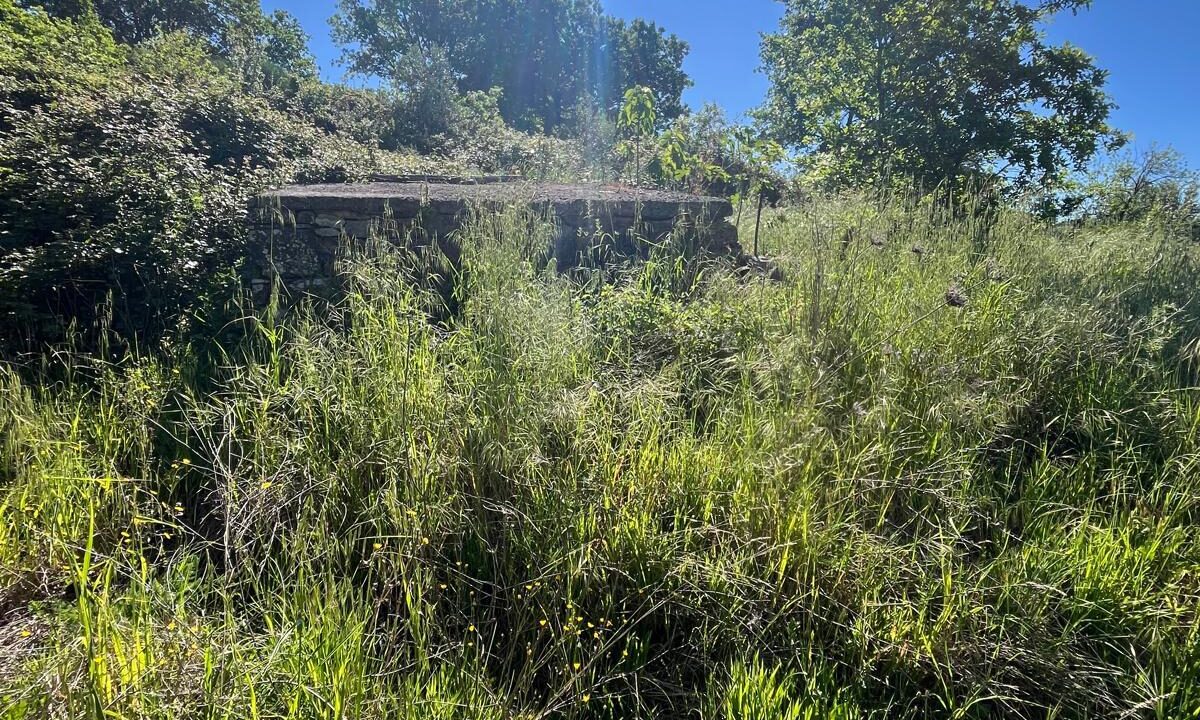 WhatsApp Image 2026-04-24 at 12.58.23 (1)