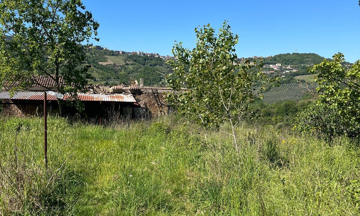 WhatsApp Image 2026-04-24 at 12.58.23