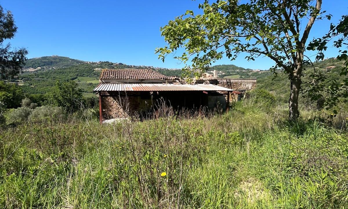 WhatsApp Image 2026-04-24 at 12.58.23 (2)