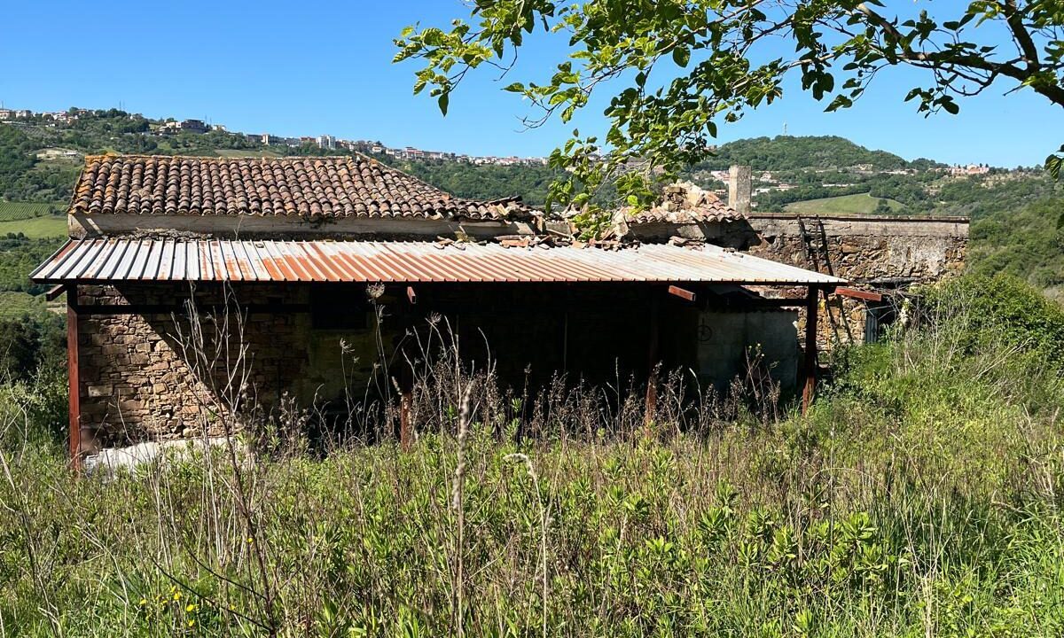 WhatsApp Image 2026-04-24 at 12.58.23 (3)