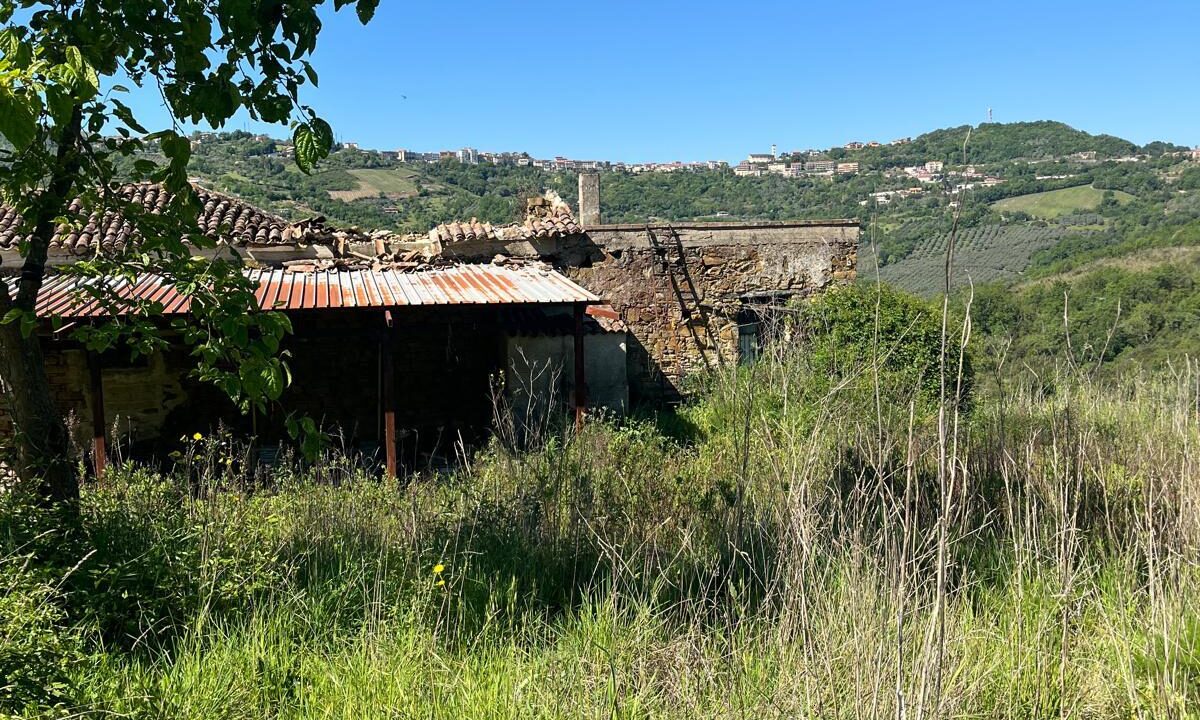 WhatsApp Image 2026-04-24 at 12.58.23 (4)