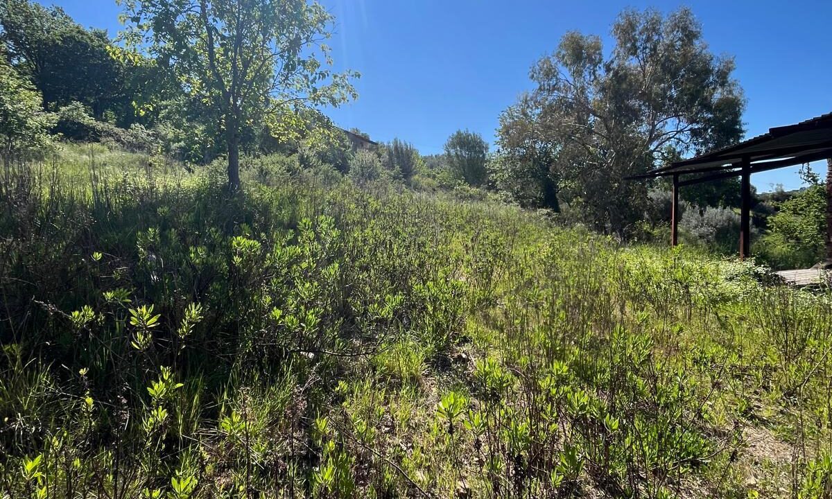 WhatsApp Image 2026-04-24 at 12.58.23 (5)