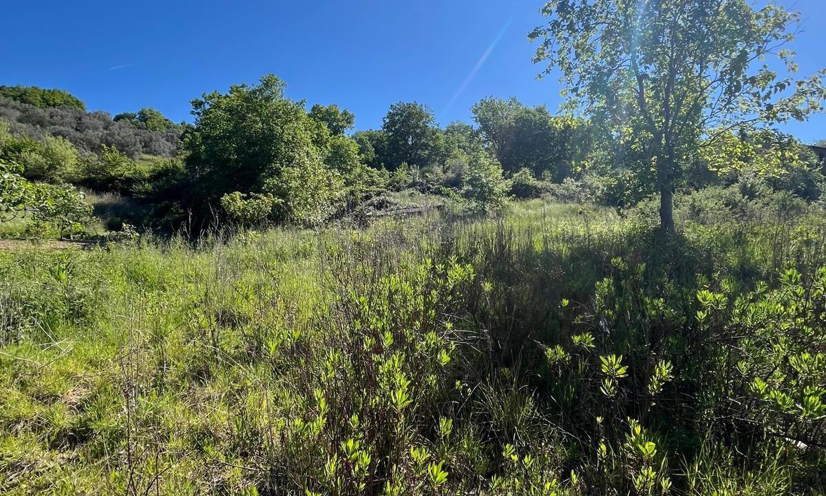 WhatsApp Image 2026-04-24 at 12.58.23 (6)