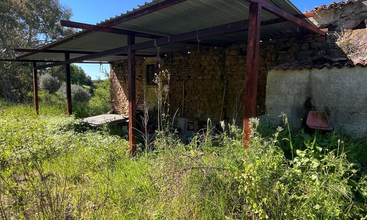 WhatsApp Image 2026-04-24 at 12.58.23 (7)