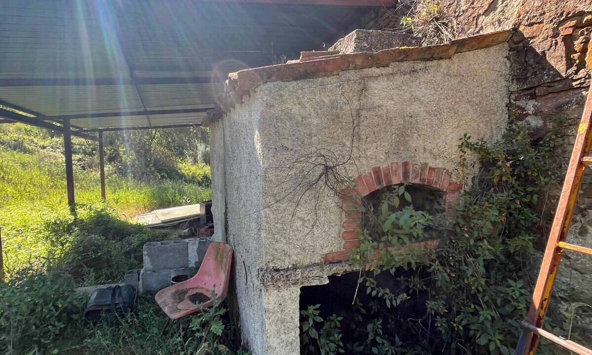 WhatsApp Image 2026-04-24 at 12.58.24