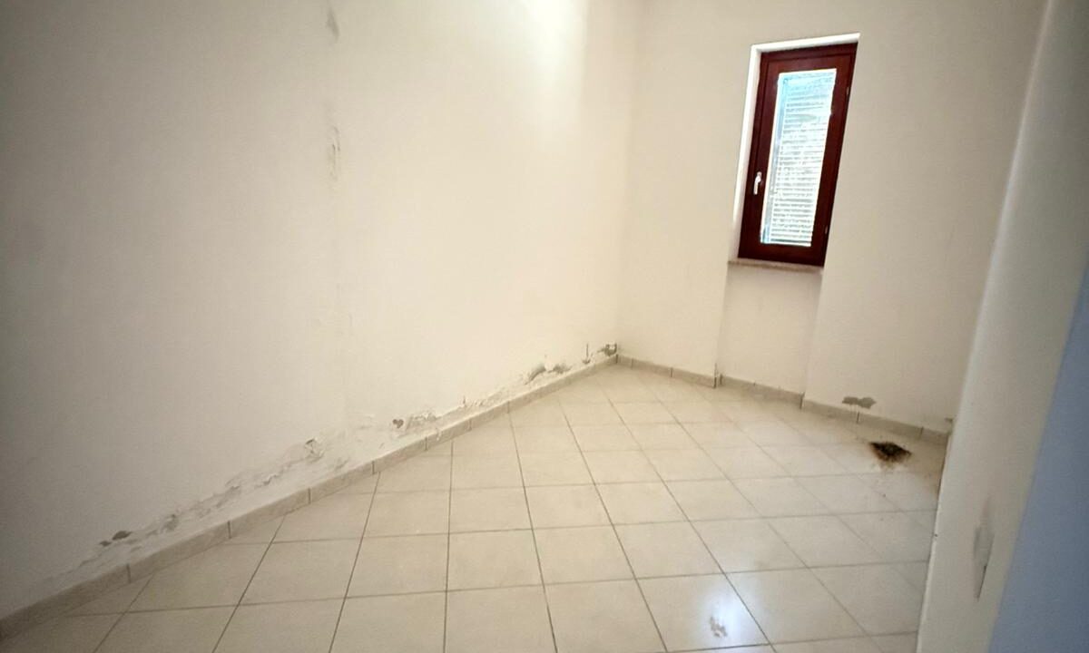 WhatsApp Image 2026-05-25 at 11.00.20 (6)