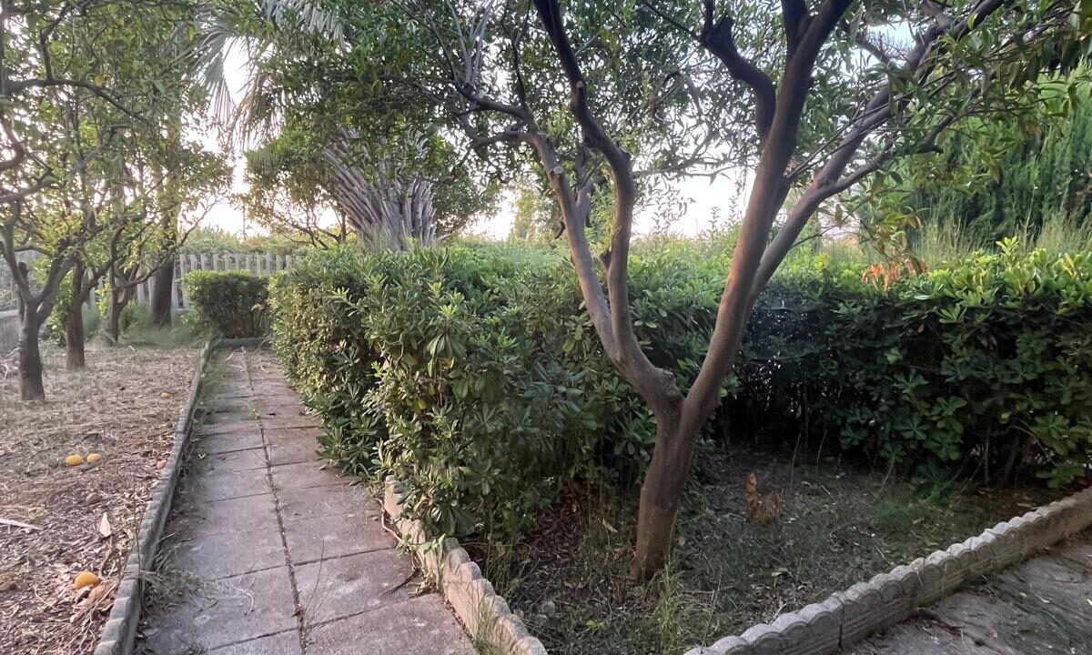 WhatsApp Image 2026-07-17 at 10.03.28 (6)