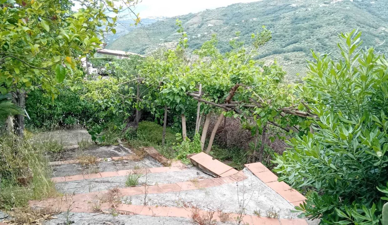 WhatsApp Image 2026-09-18 at 18.33.47 (7)